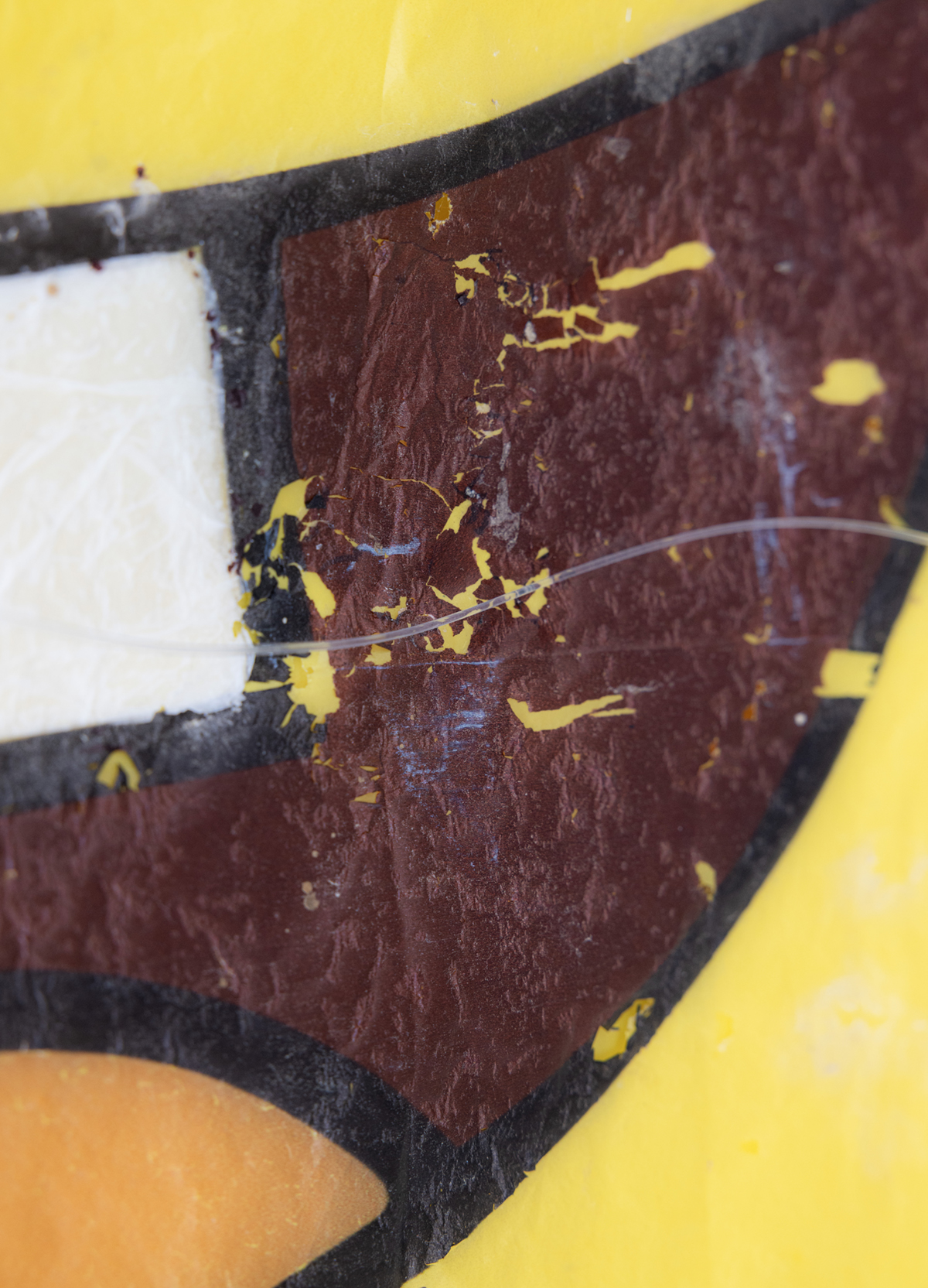 Coccodrillo_detail1